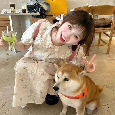 网美嬉游记
